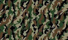 camo design 2.jpg